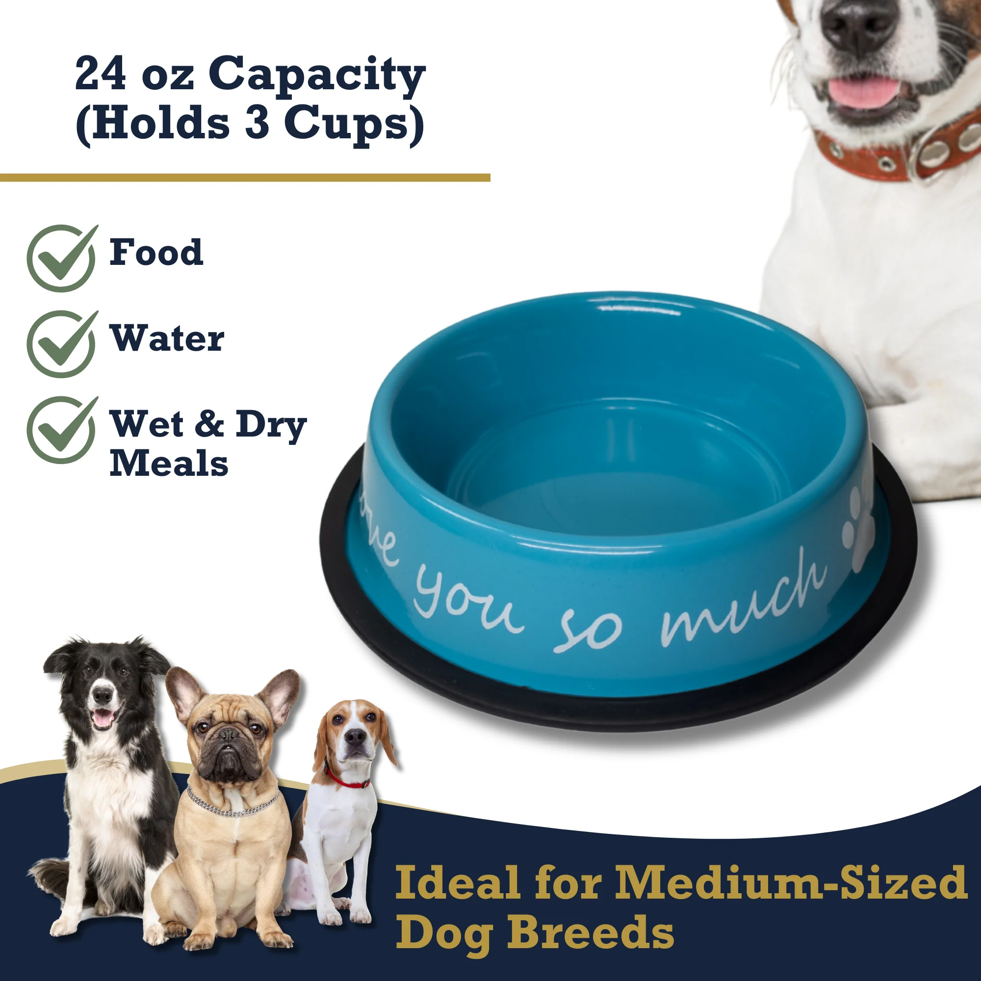 I LOVE YOU SO MUCH Modern Stainless Steel Dog Bowl – 24oz - Image 9