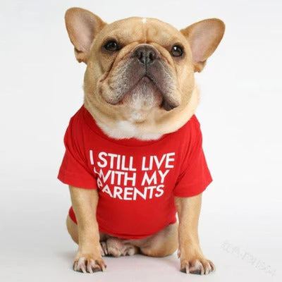 I Still Live With My Parents T-Shirt - Image 11