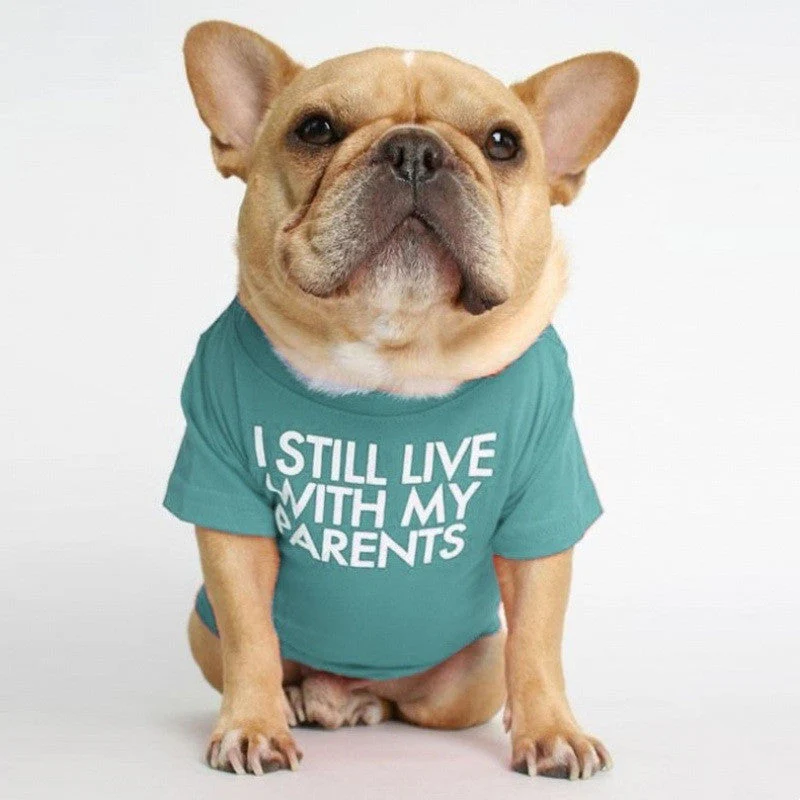 I Still Live With My Parents T-Shirt - Image 6