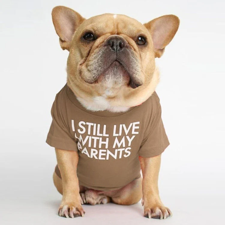 I Still Live With My Parents T-Shirt - Image 7