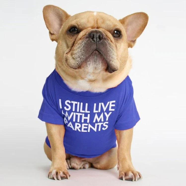 I Still Live With My Parents T-Shirt - Image 9