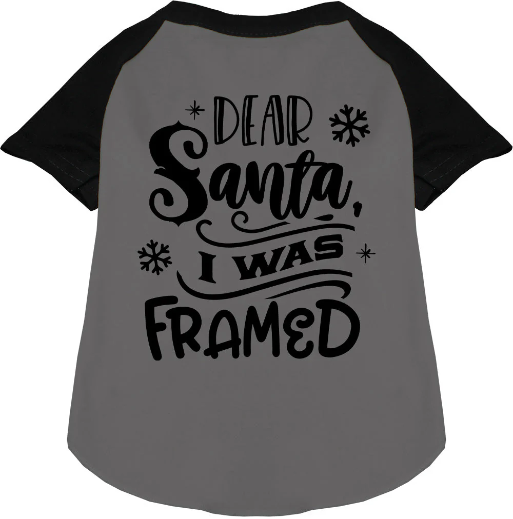 I was Framed! Pet Raglan Shirt - Image 3