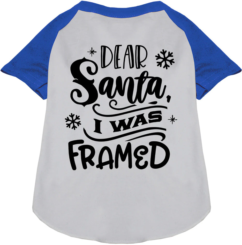 I was Framed! Pet Raglan Shirt - Image 4