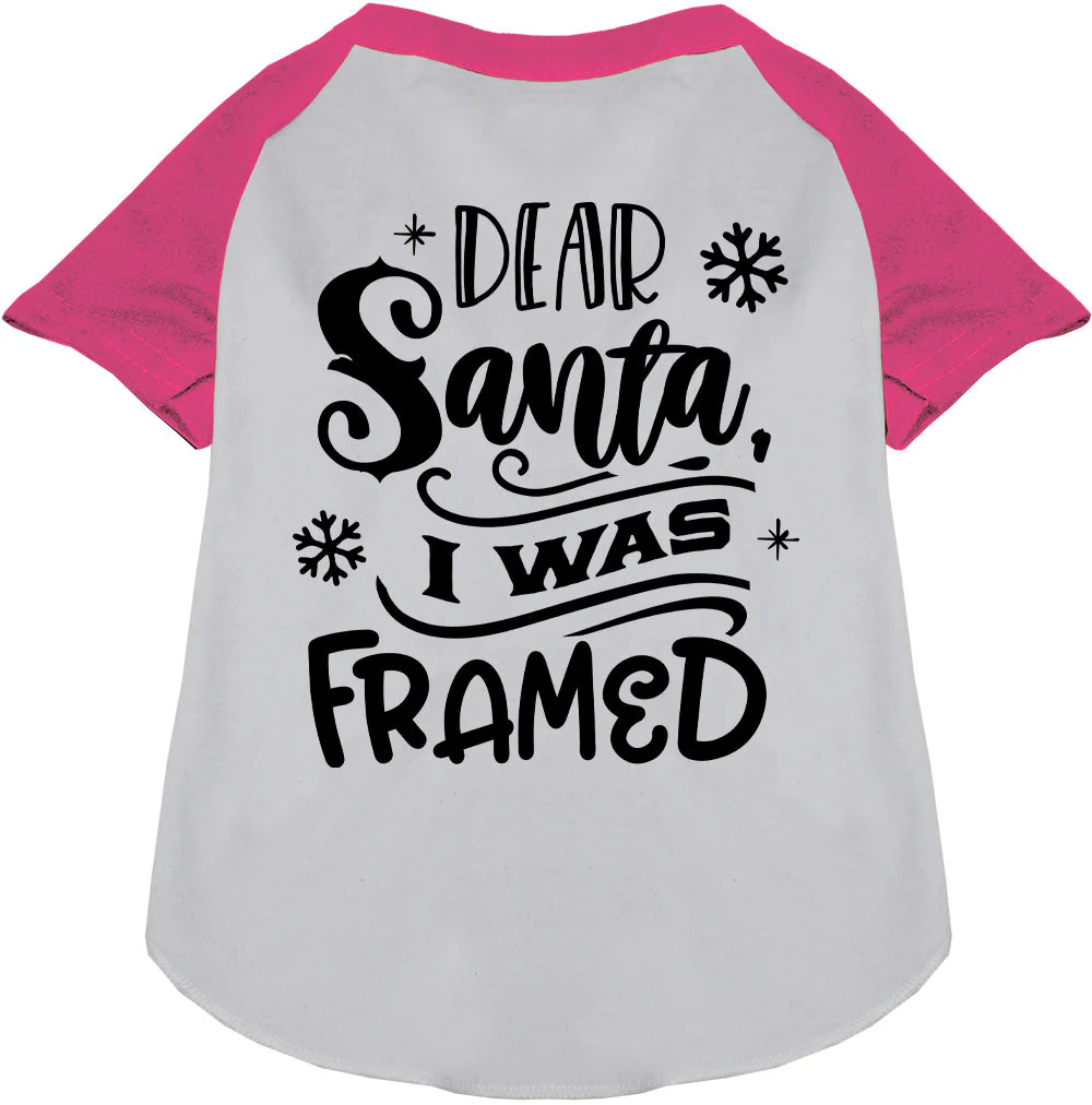 I was Framed! Pet Raglan Shirt - Image 5