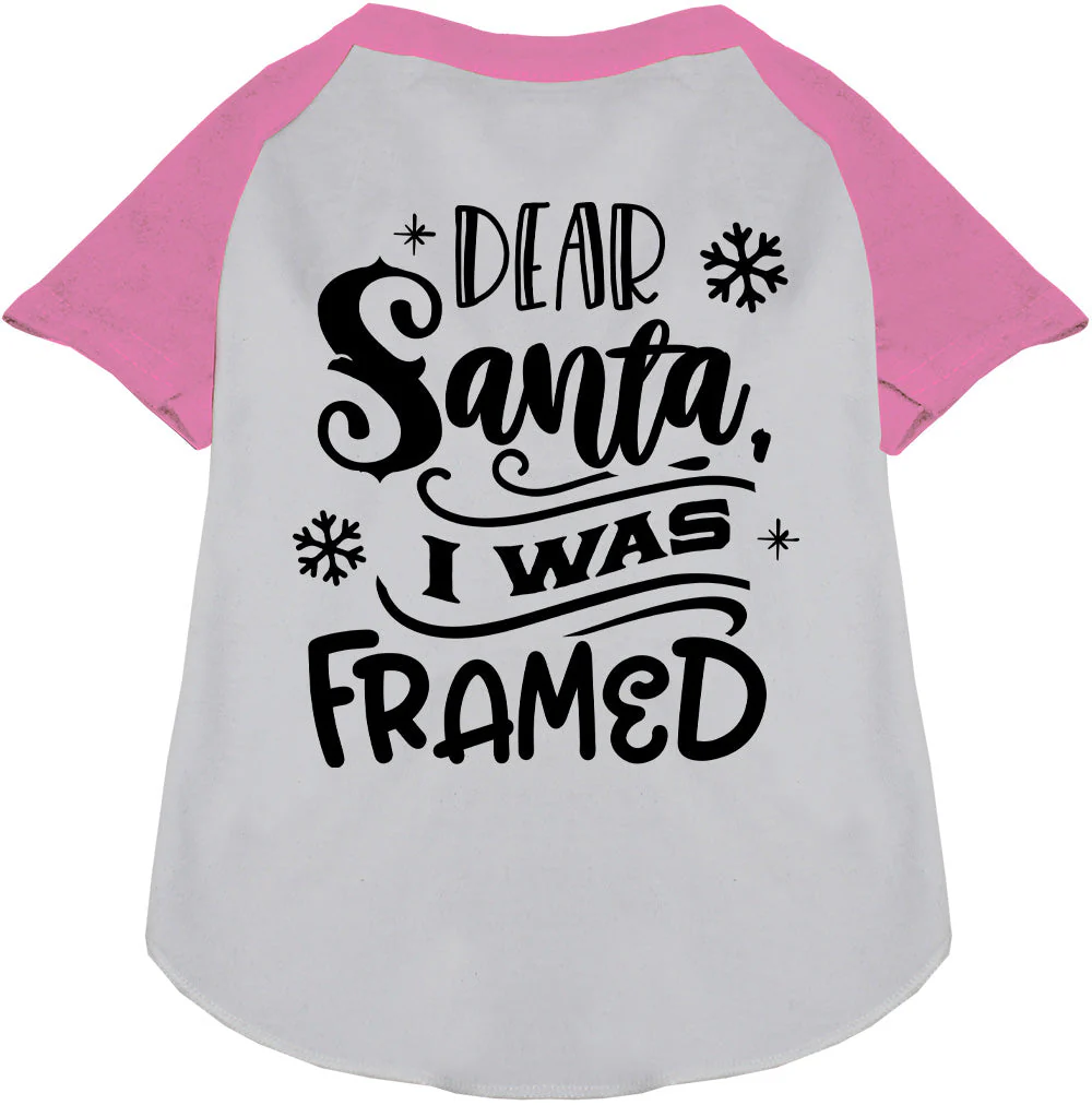 I was Framed! Pet Raglan Shirt - Image 6