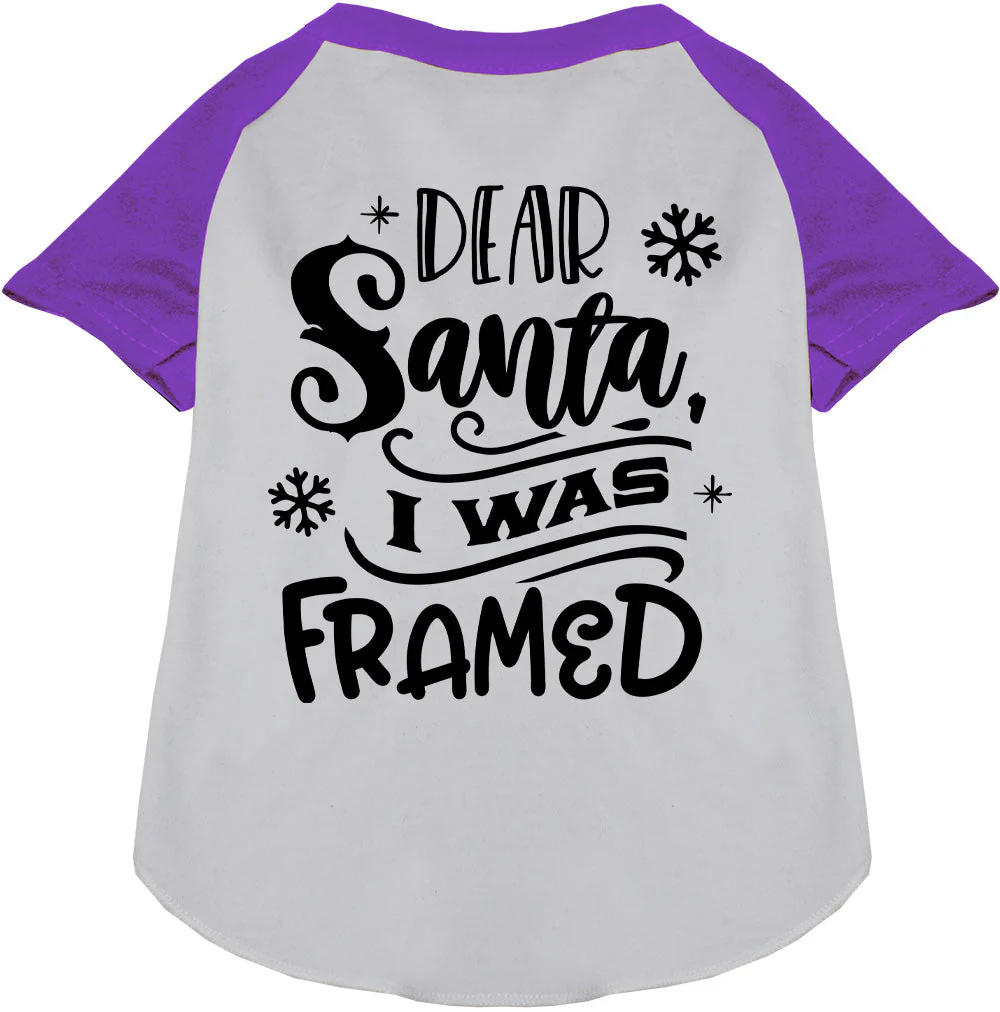 I was Framed! Pet Raglan Shirt - Image 7