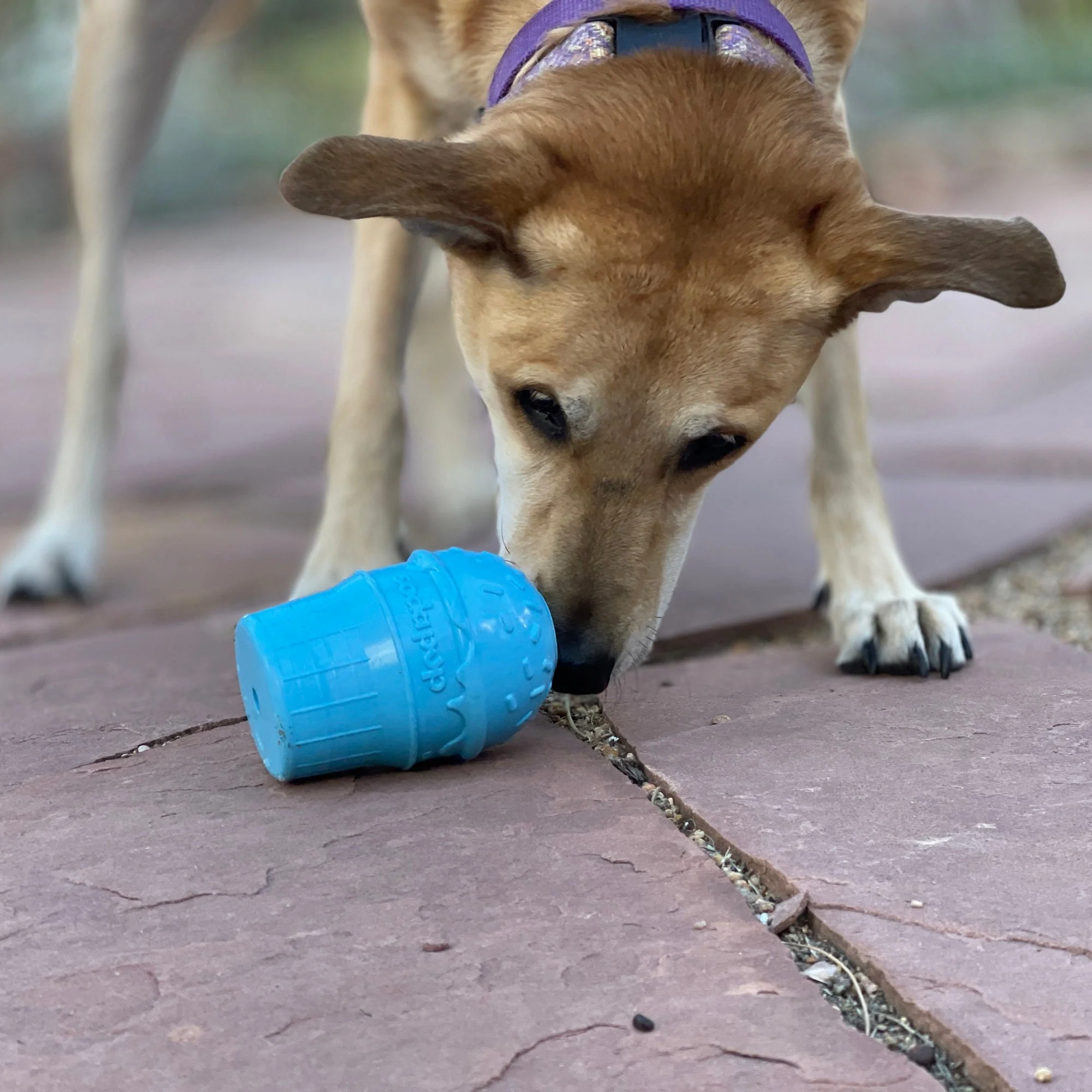 Ice Cream Cone Rubber Dog Chew Toy for Power Chewers | USA Made | SodaPup - Image 7