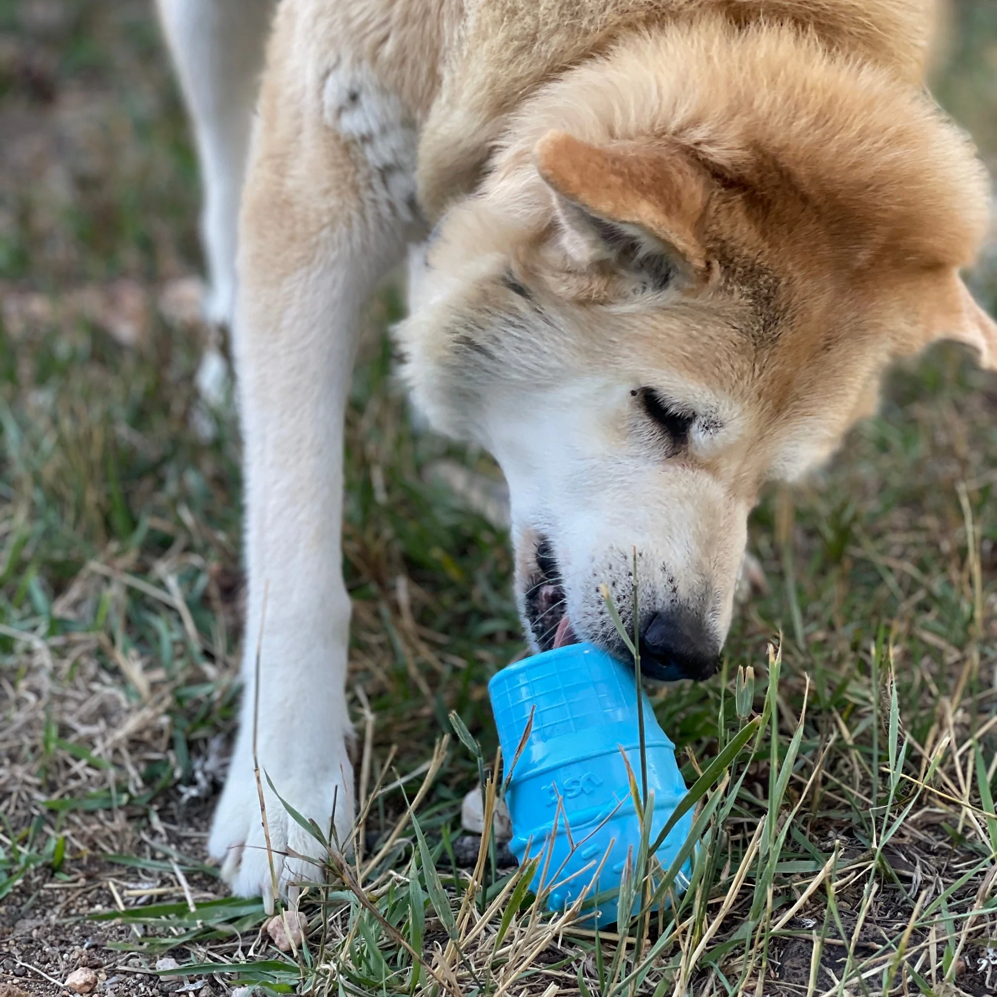 Ice Cream Cone Rubber Dog Chew Toy for Power Chewers | USA Made | SodaPup - Image 9
