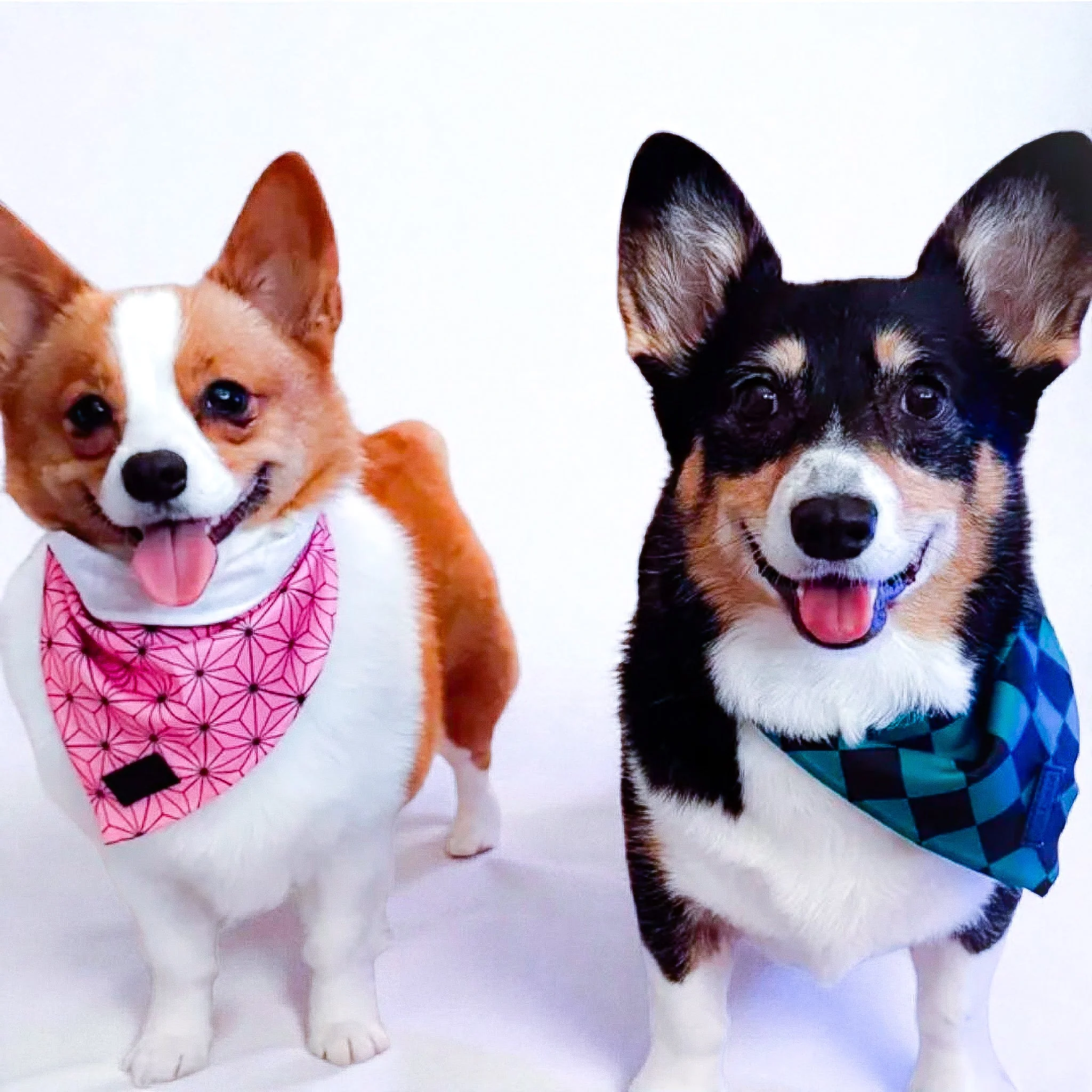 Ichimatsu Checker Cooling Bandana - Image 3