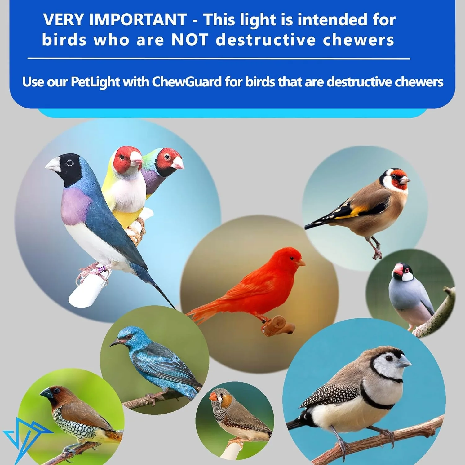 Illuminate Your Bird's World with the Happybird Full Spectrum LED Light - Safe, Easy-to-Install, and Perfect for Soft Bill Birds - Image 4