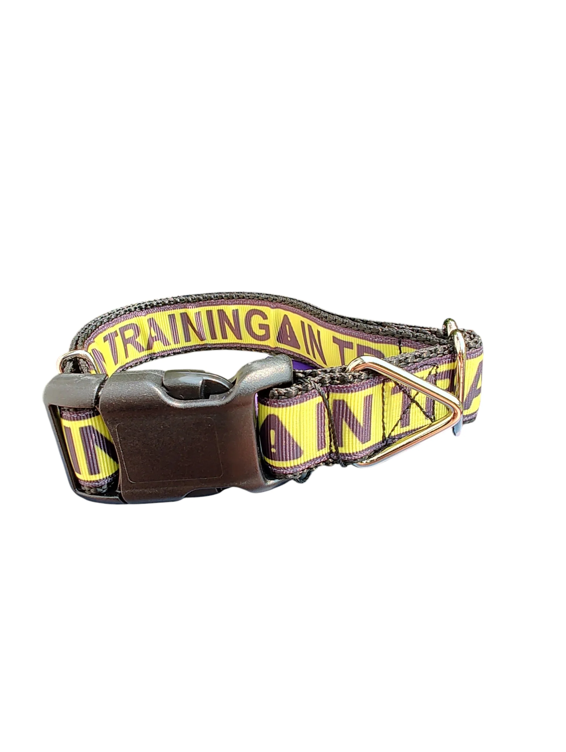 In Training Nylon Dog Collar - Image 2