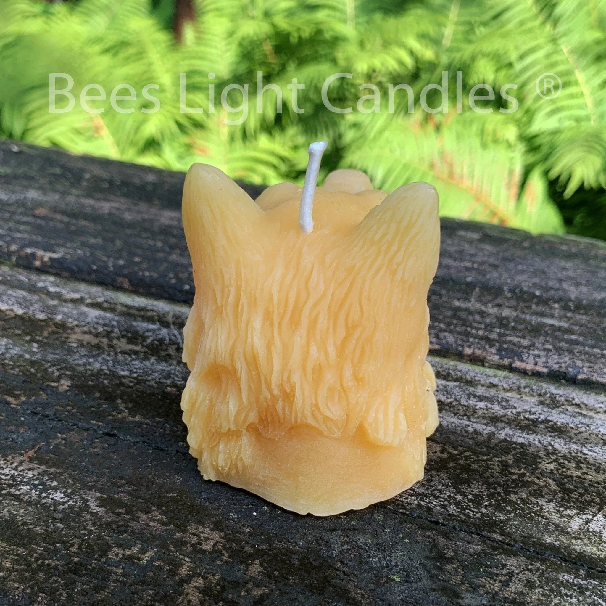 Indian Chief Skull Wolf Candle - Image 3