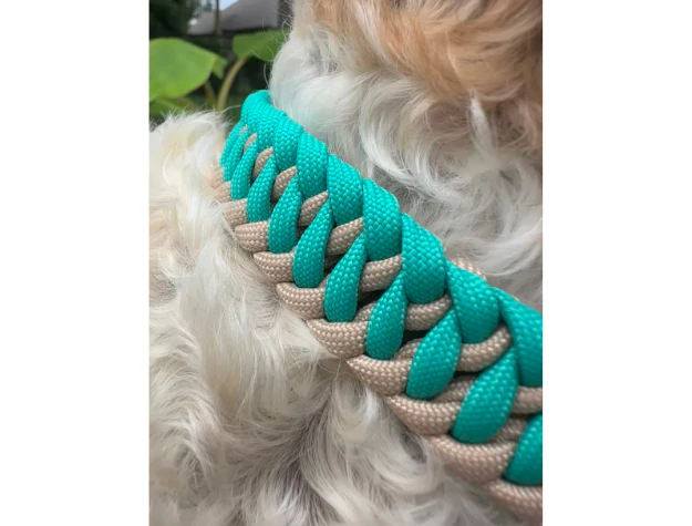 Infinity Braid in Teal & Light Tan - Handmade Dog Collar - Image 7