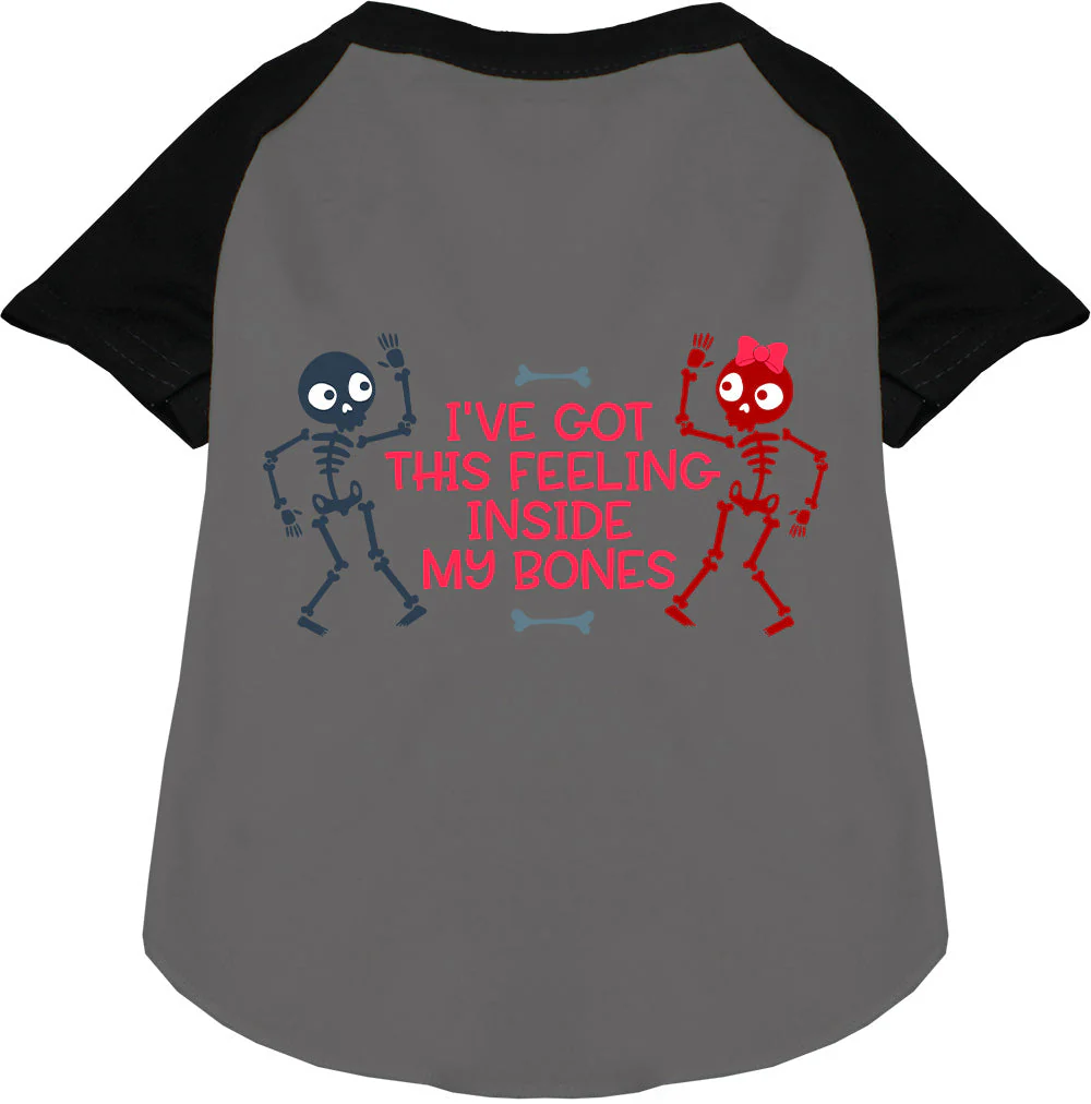 Inside My Bones Pet Raglan Shirt - Image 3