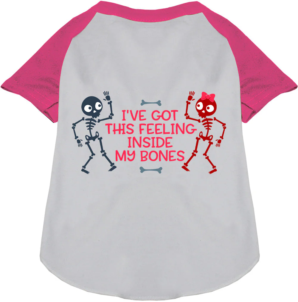 Inside My Bones Pet Raglan Shirt - Image 5