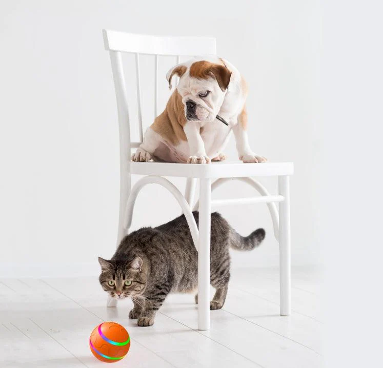 Intelligent Self Rotating Pet Ball Toy - Image 3