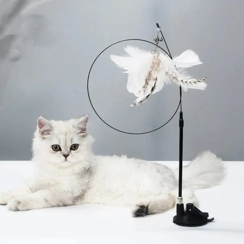 Interactive Cat Teaser Stick with Natural Feathers & Suction Cup - Image 12