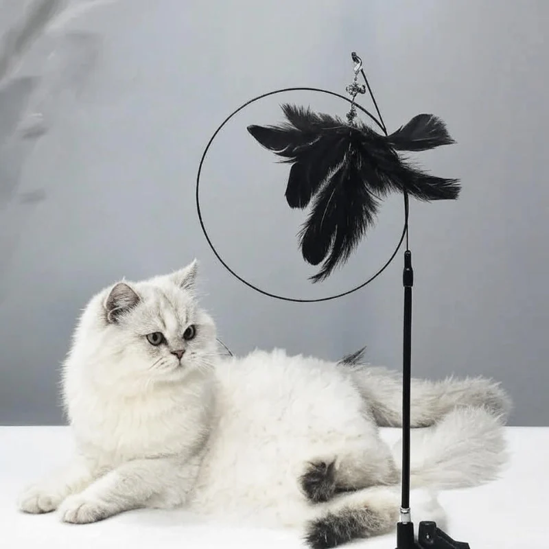 Interactive Cat Teaser Stick with Natural Feathers & Suction Cup - Image 13