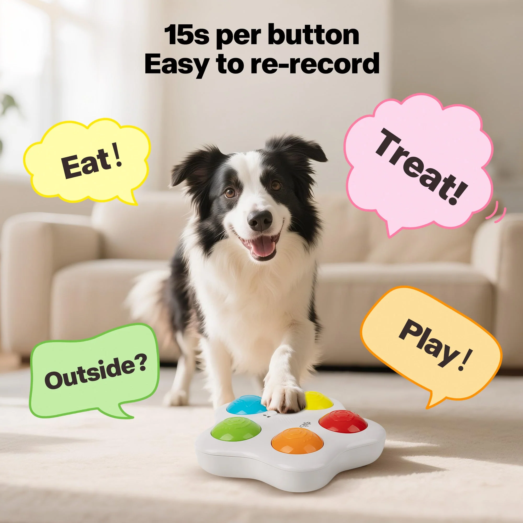 Interactive -Dog Toy - Pet Brain Trainning buttons - Image 3