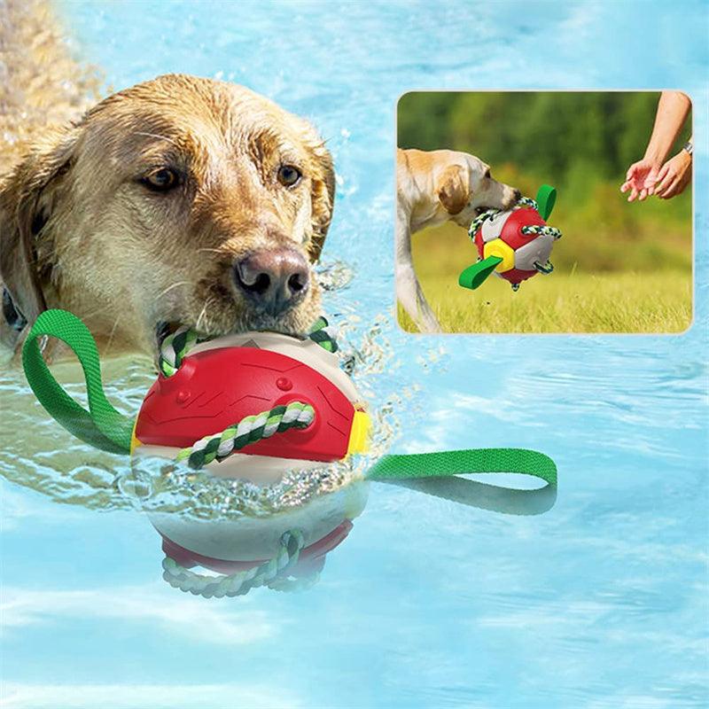 Interactive Dog Training Soccer Football - Image 2