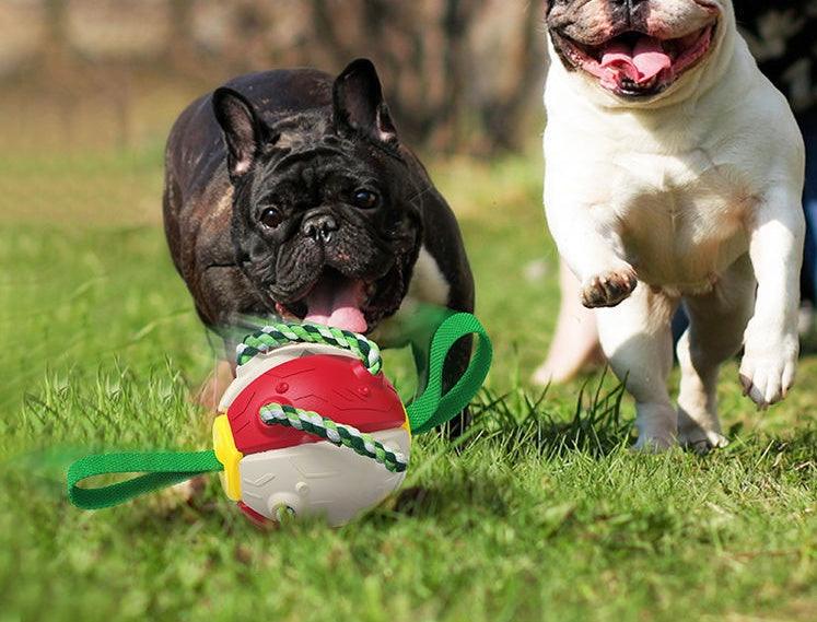Interactive Dog Training Soccer Football - Image 3