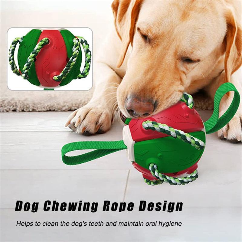 Interactive Dog Training Soccer Football - Image 4