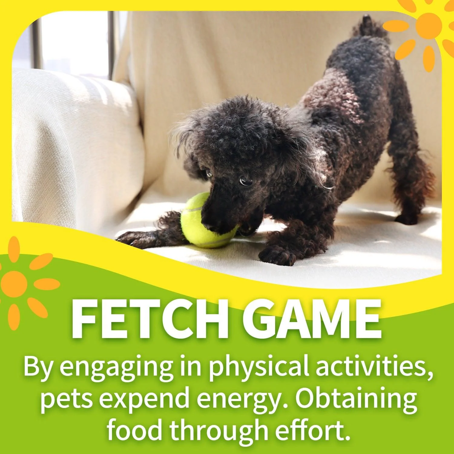 Interactive Fetch-N-Treat Dog Toy - Image 2
