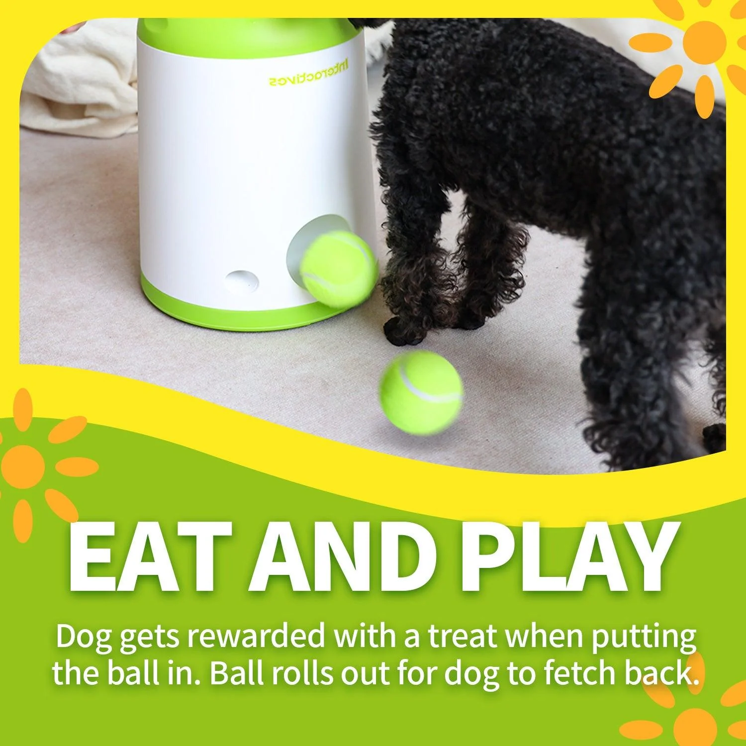 Interactive Fetch-N-Treat Dog Toy - Image 6