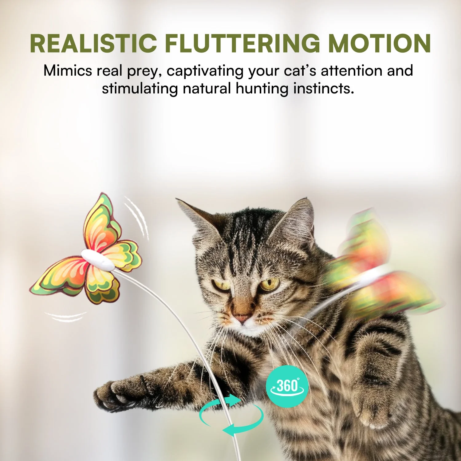 Interactive Flutter Bug Cat Toy with Motion-activated Hide-N-Seek - Image 5