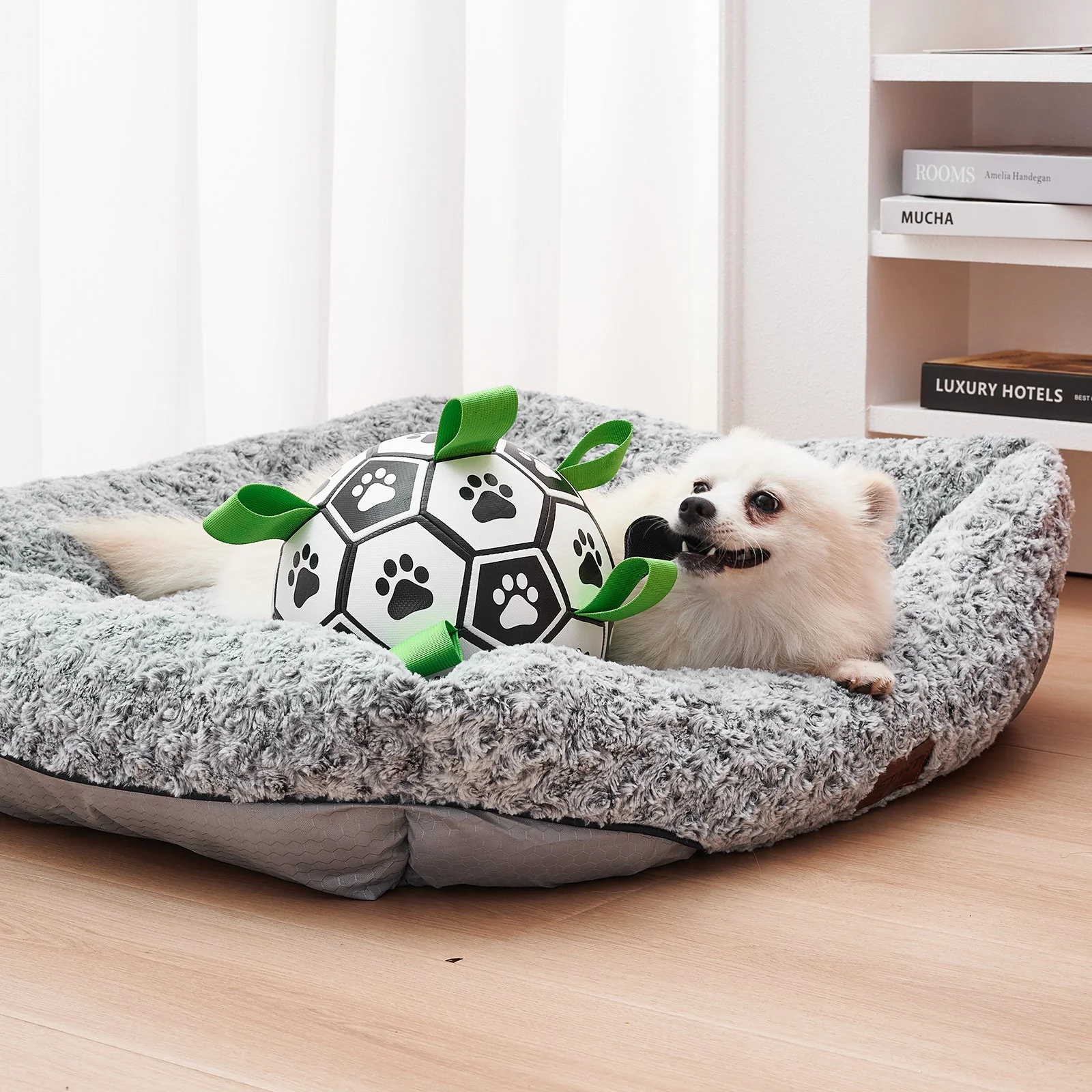 Interactive Football Ball Dog Toy - Image 2