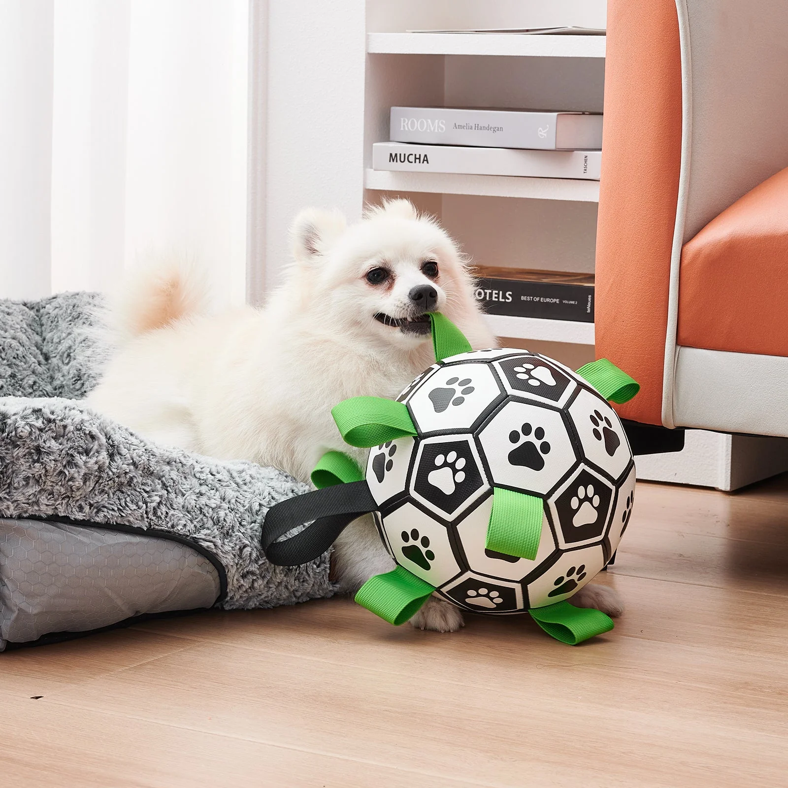 Interactive Football Ball Dog Toy - Image 4