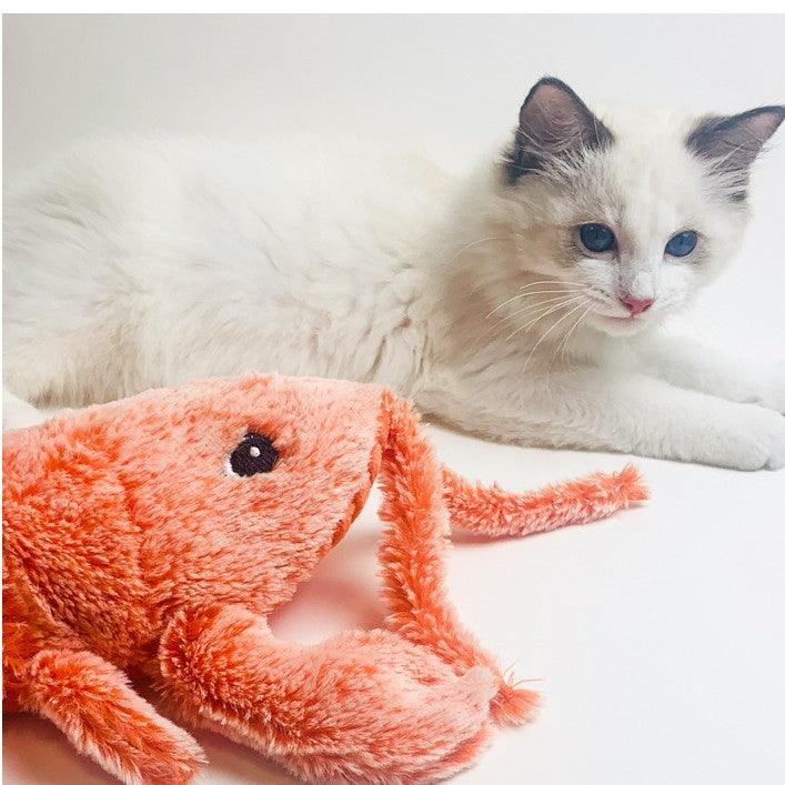 Interactive Lobster Plush Cat Toy - Image 10