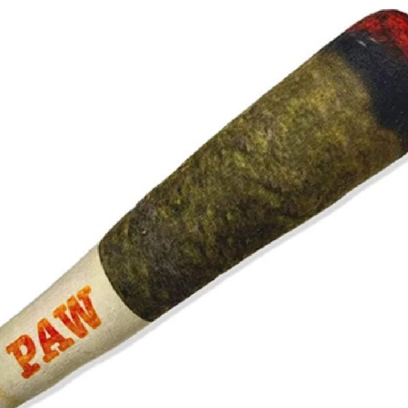 Interactive Plush Dog Cigar – Squeaky Chew Toy for Small Dogs - Image 12