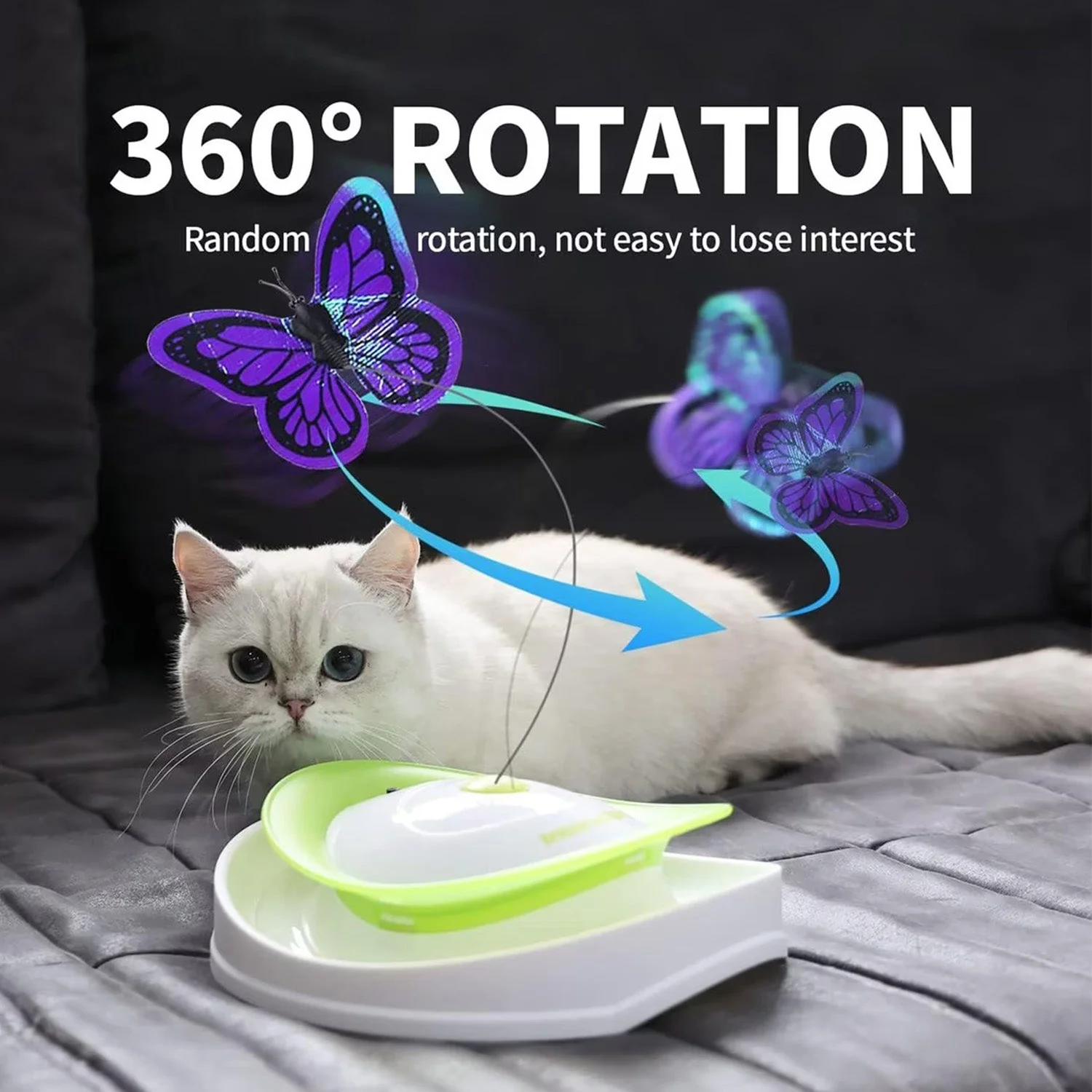 Interactives - Cat Toys - Roll Around Flutter Bug for Enrichment - Image 3