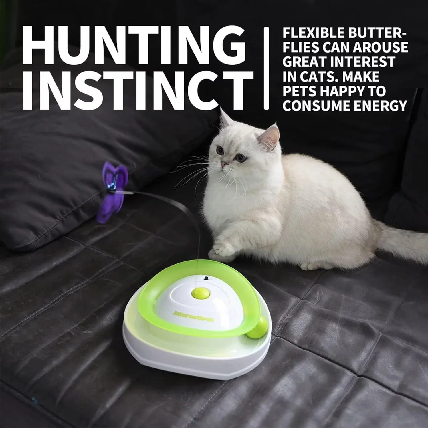 Interactives - Cat Toys - Roll Around Flutter Bug for Enrichment - Image 4