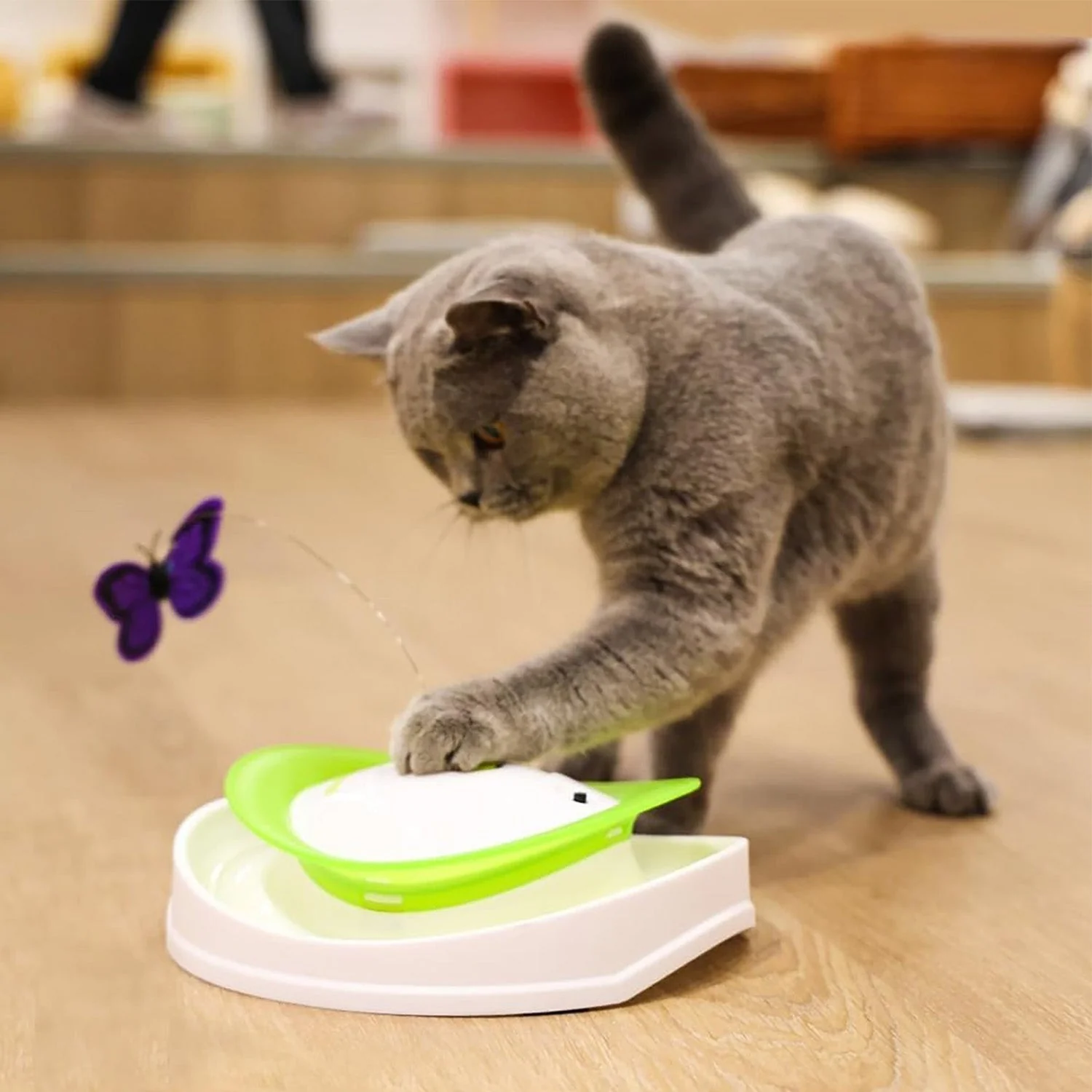 Interactives - Cat Toys - Roll Around Flutter Bug for Enrichment - Image 6