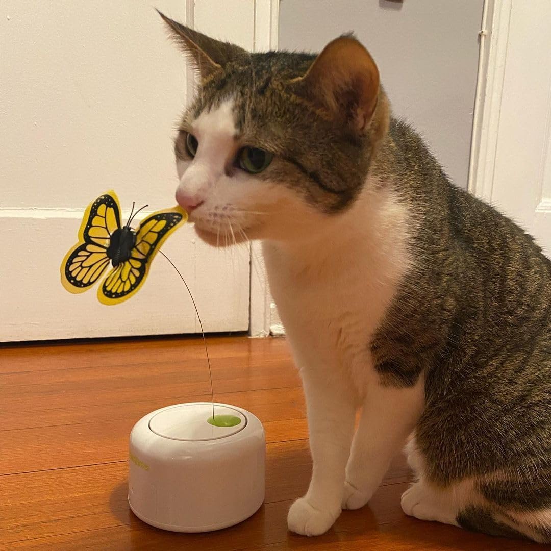 Interactives  - Motion Activate Cat Toys Butterfly Flutter Bug - Image 9