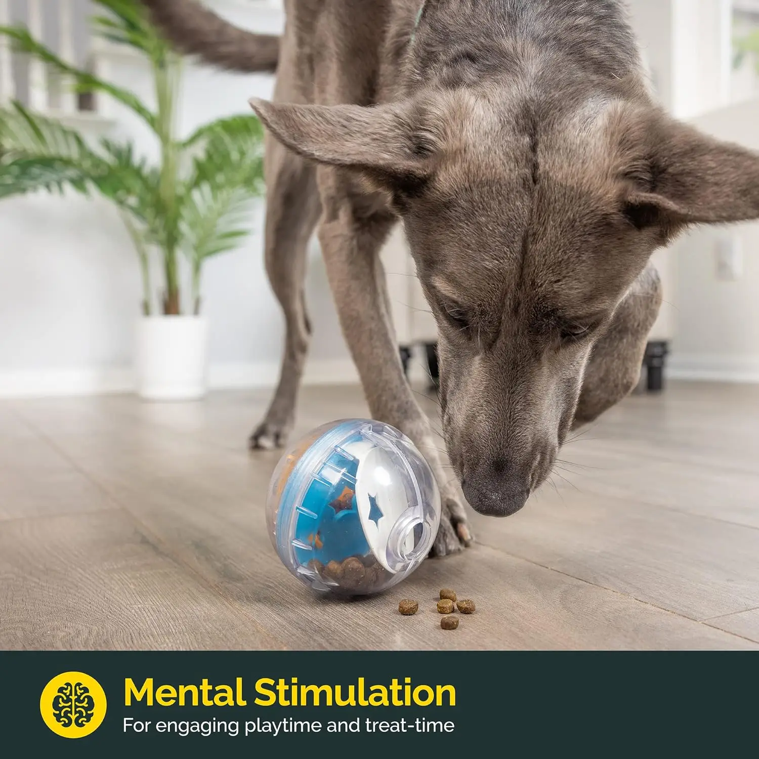 IQ Treat Ball Dog Food Dispenser & Interactive Toy - Image 3