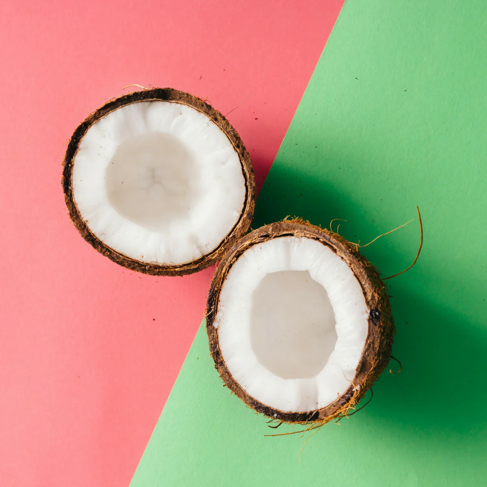 Island Coconut Skin Stick - Organic Moisture Stick - Travel Size - Image 5