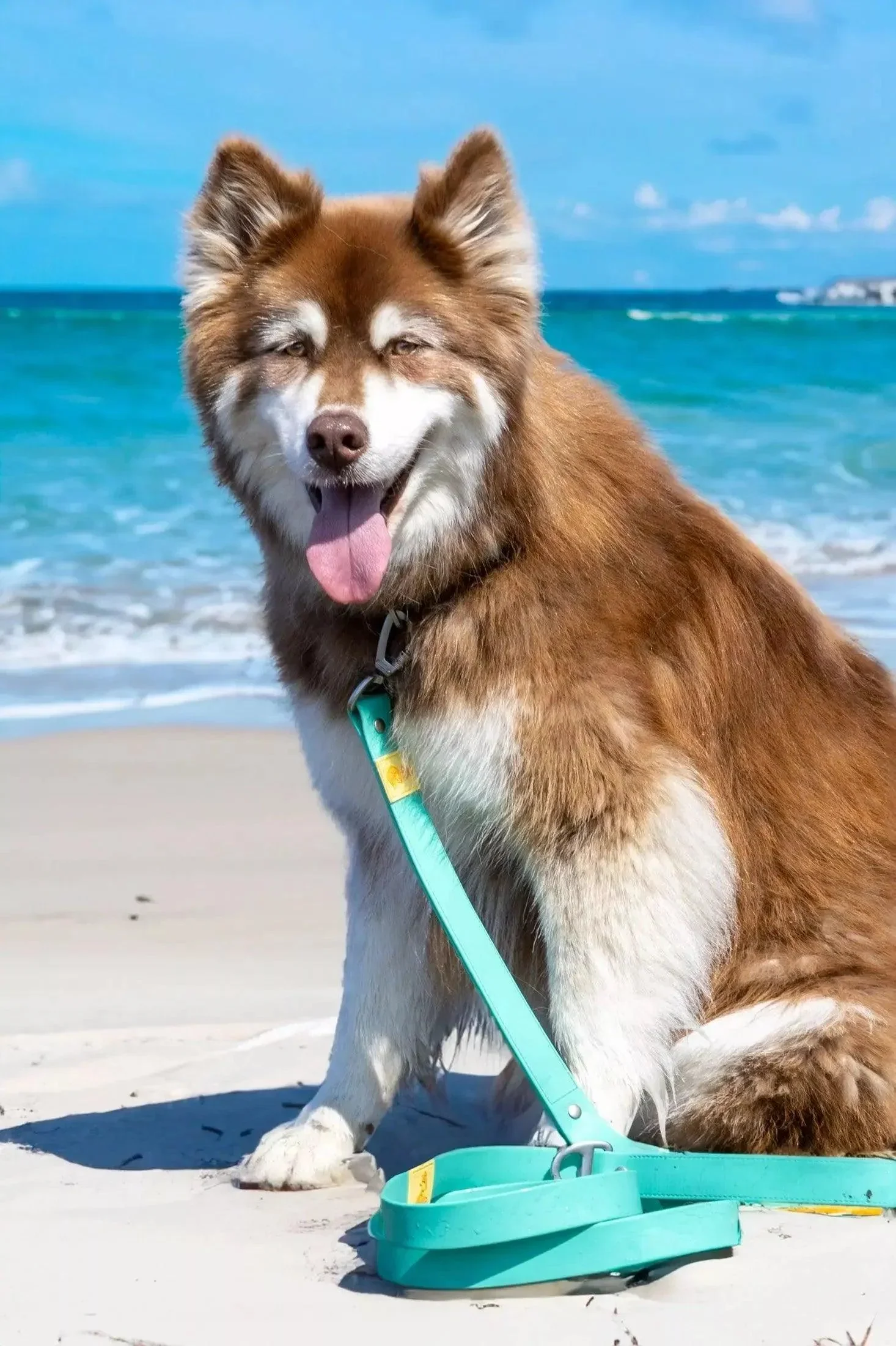 Island Vibes Waterproof Dog Leash - Image 2