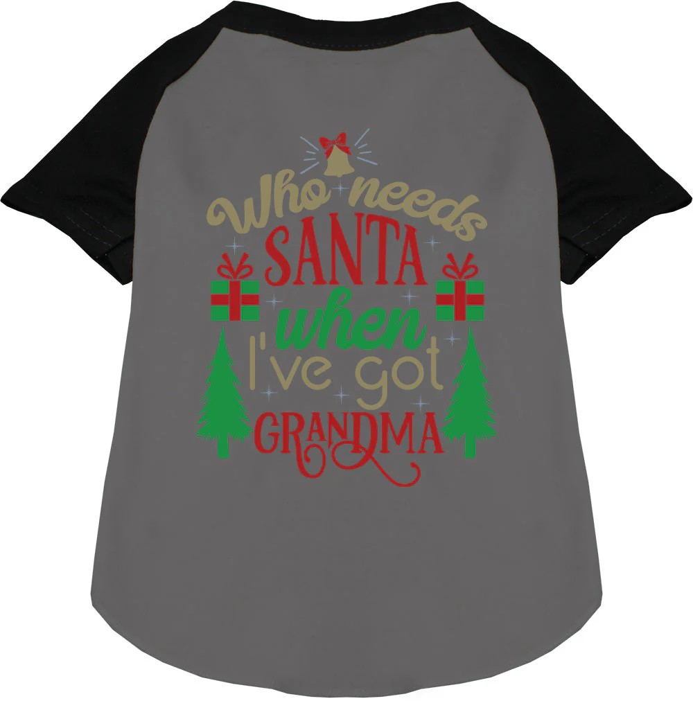 I've Got Grandma! Pet Raglan Shirt - Image 3