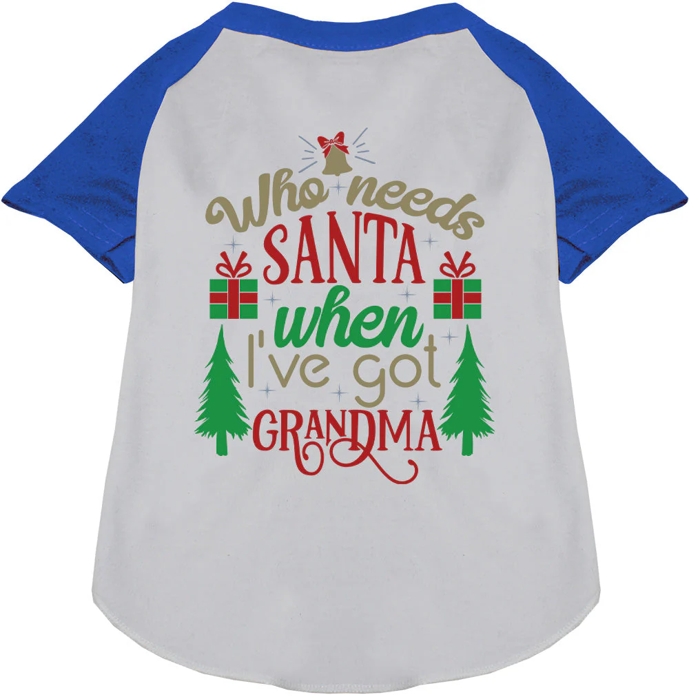 I've Got Grandma! Pet Raglan Shirt - Image 4