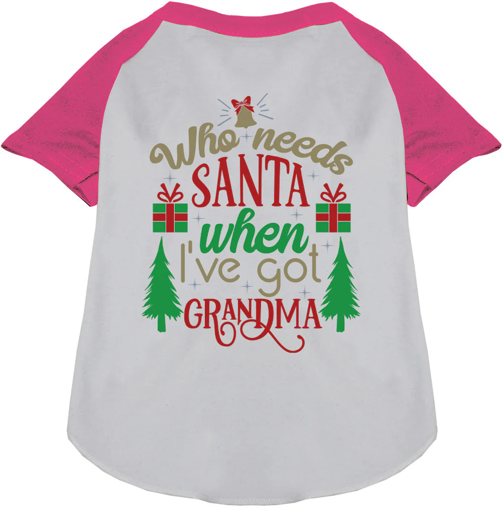 I've Got Grandma! Pet Raglan Shirt - Image 5