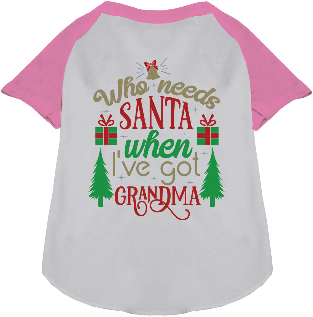I've Got Grandma! Pet Raglan Shirt - Image 6
