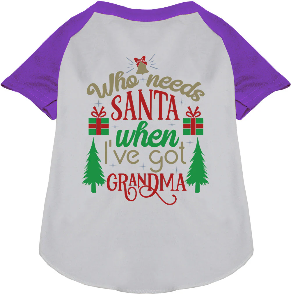 I've Got Grandma! Pet Raglan Shirt - Image 7