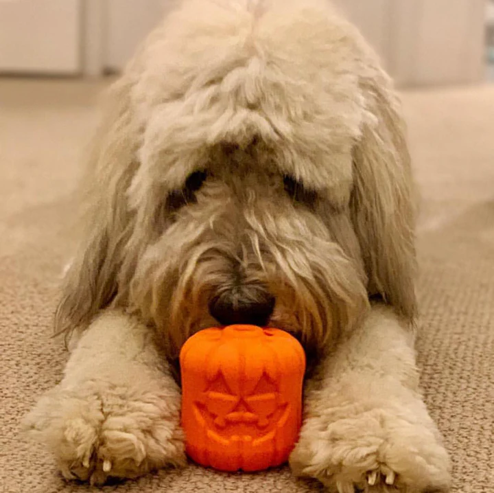Jack O' Lantern Dog Toy - Durable Halloween Chew Toy for Large Dogs | USA Made - Image 10