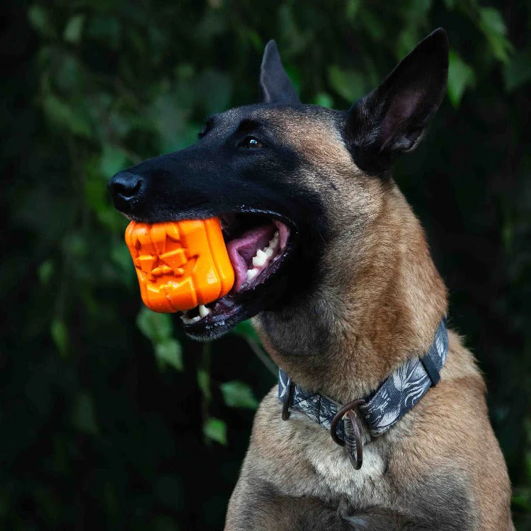Jack O' Lantern Dog Toy - Durable Halloween Chew Toy for Large Dogs | USA Made - Image 5