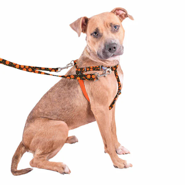Jack O Lantern Freedom No-Pull Dog Harness – EarthStyle - Image 8