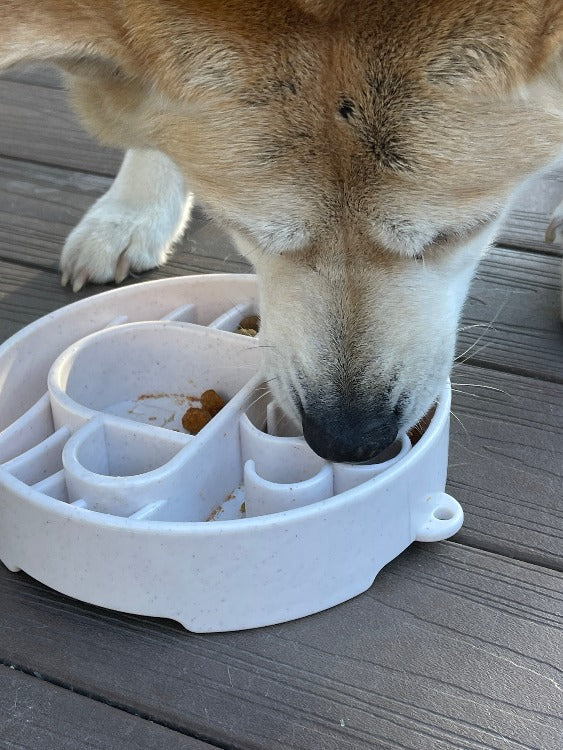 Java eBowl Deep Slow Feeder Dog Bowl for Enrichment | USA Made - Image 10