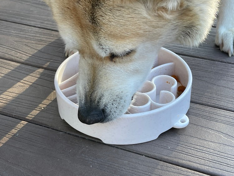 Java eBowl Deep Slow Feeder Dog Bowl for Enrichment | USA Made - Image 11